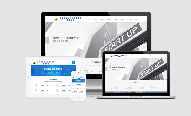 深圳香港公司注册商务服务中文企业网站建设案例